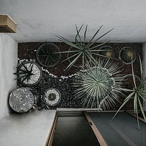 Suite de 2 Dormitorios